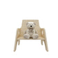 Jooyes Kids Stackable Wooden Toddler Chair H25cm - 6 Pack