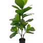 Artificial Fiddle Leaf Plant - 100CM