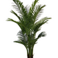 Artificial Palm Tree Plant - 170cm