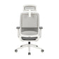 Carlie High Back Molded Foam Seat Ergonomic Office Chair In Grey