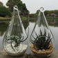 4 Pack of Hanging Clear Glass Tealight Candle Holder Tear Drop Pear Shape - 12cm High - Terrarium Plant Mini Garden Holder Decor