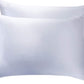 Gioia Casa Luxury Pillowcase 2 Pack - 100% Pure Mulberry Silk on Both Sides - Silver