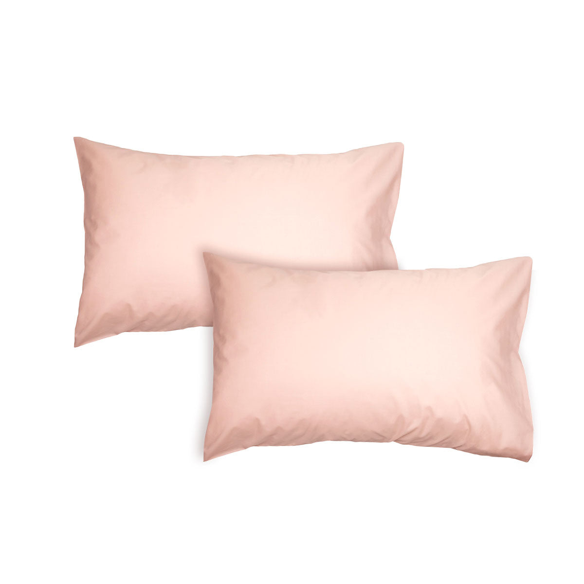 Algodon Pair of 300TC Cotton Standard Pillowcases Pink