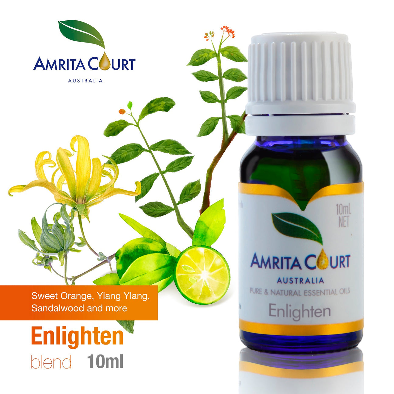 Amrita Court Pure and Essential Oils Enlighten 10ml