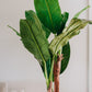 180cm Banana Tree - Artificial Plant, Home Decor Flora